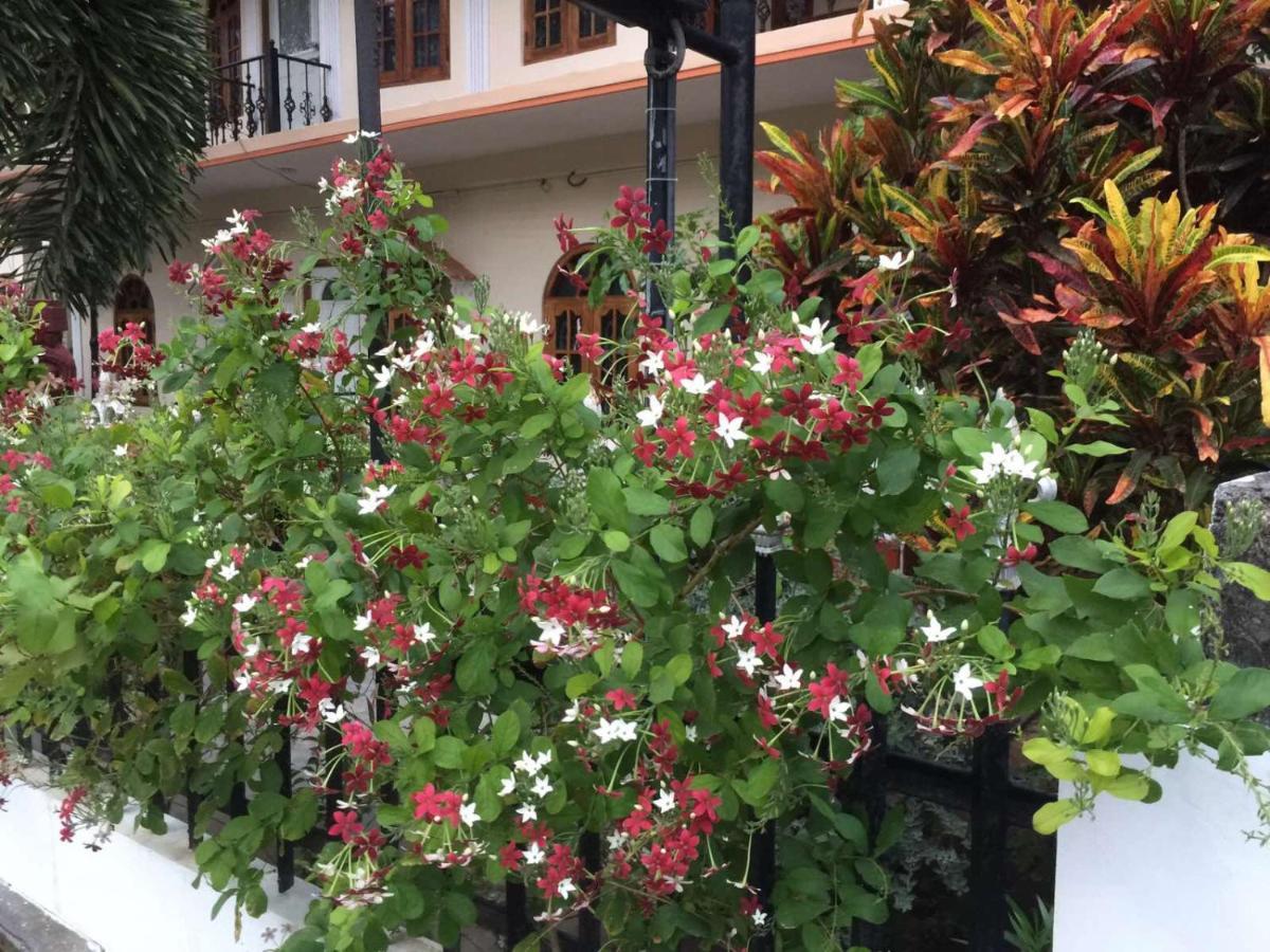 Senthil Complex Hotel Jaffna Kültér fotó